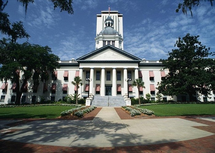 Neutrality in Tallahassee