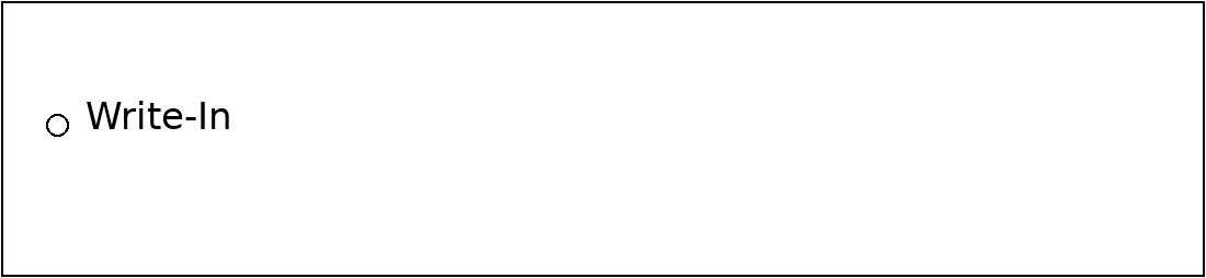 Write-in ballot animation